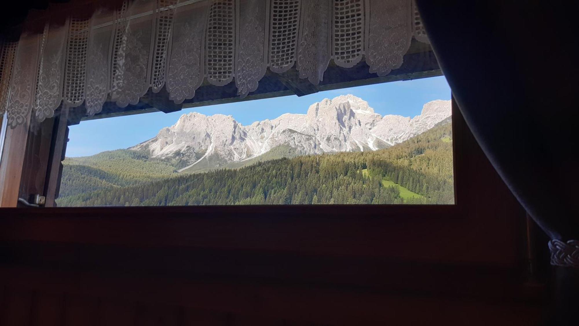 La Pineta Apartment Padola Zewnętrze zdjęcie